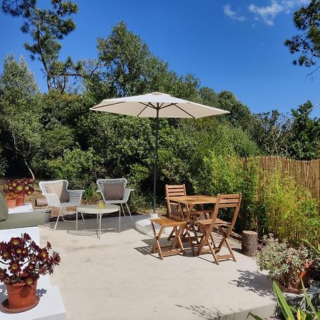 Quinta Do Alento Acomodação com café da manhã Sesimbra Exterior foto