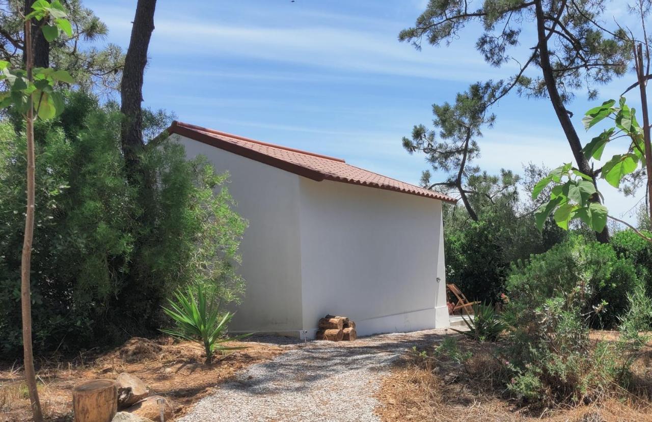 Quinta Do Alento Acomodação com café da manhã Sesimbra Exterior foto